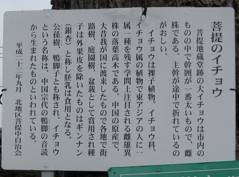 20190214hike (4)